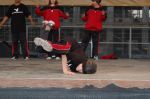 Bild 33