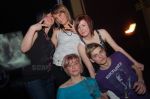 Bild 87