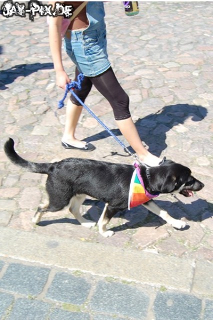 Klicken um zum nchsten Bild zu kommen.